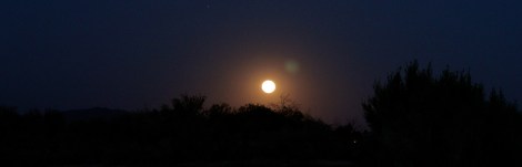 full moon rise