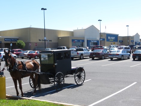 amish ride