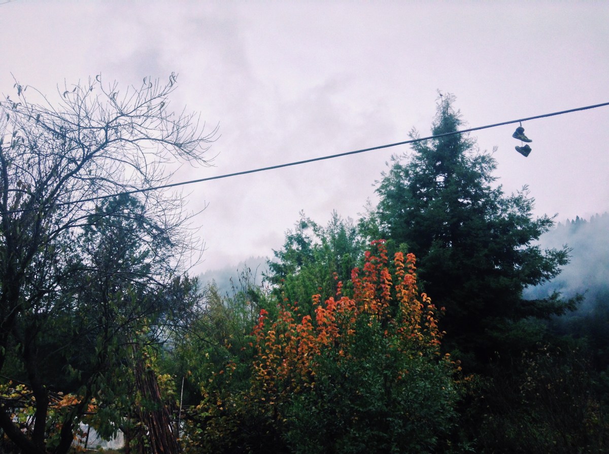 y(our) pain is real...