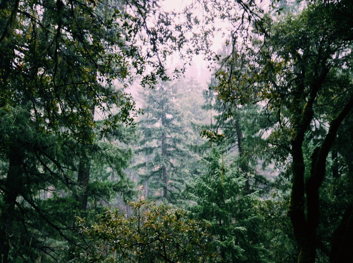 High definition with no commercials