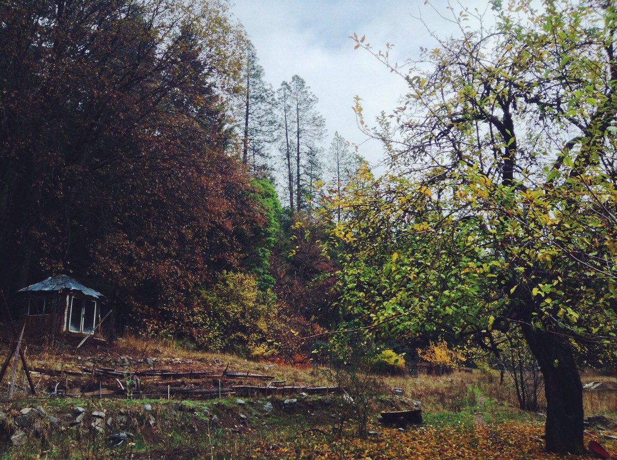 thanks for helping me level up friend, love you