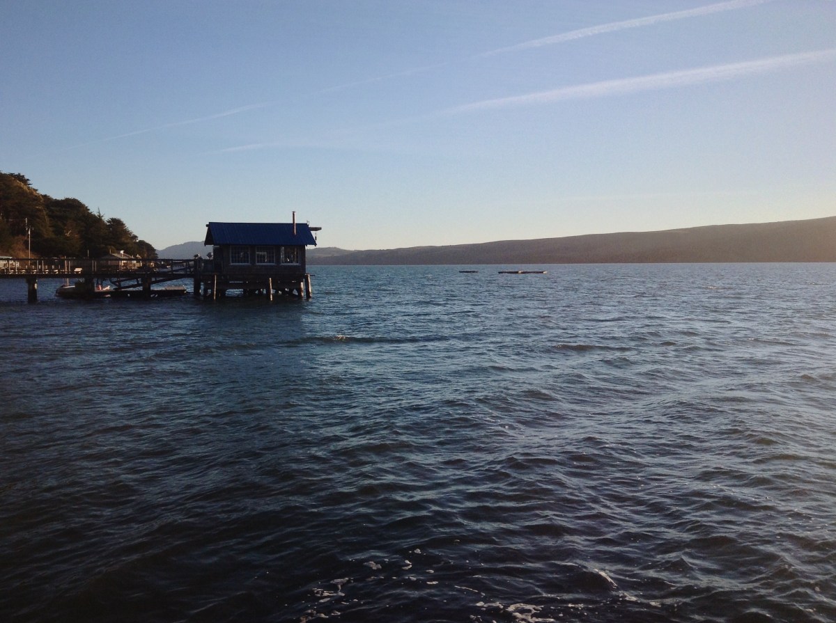 life on top of fluid instability