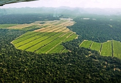 C5sj9qHqg2aqNP4k3O0YfyNQfxB7IRu3_598x414